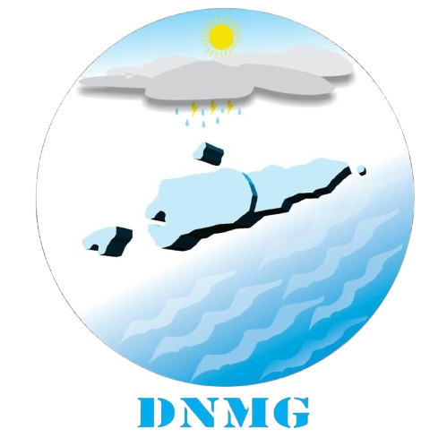 Ddrg DRR&DSS